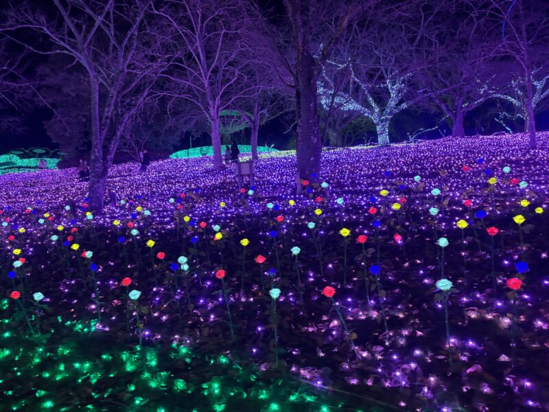 相模湖モリモリ